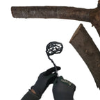 Sharpening file for manual chain saw in use