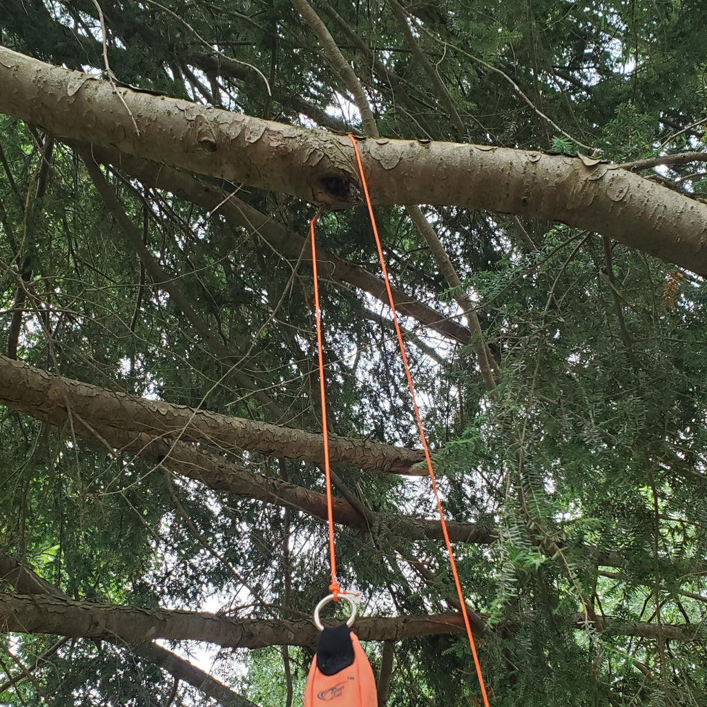 tree climbing rope orange